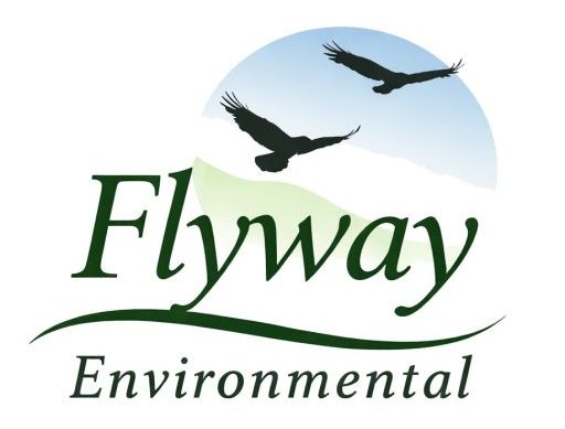 Environmental Consulting